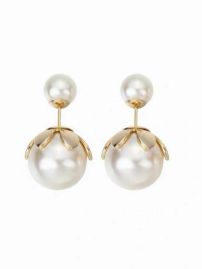 Picture of Dior Earring _SKUDiorearring1223068063